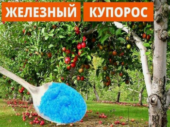 железный купорос в саду